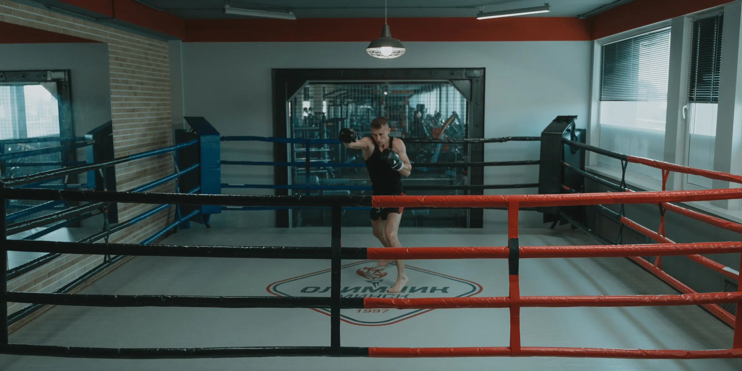 Film Mlatička měl být osobním projektem, ale skončil jako varování.