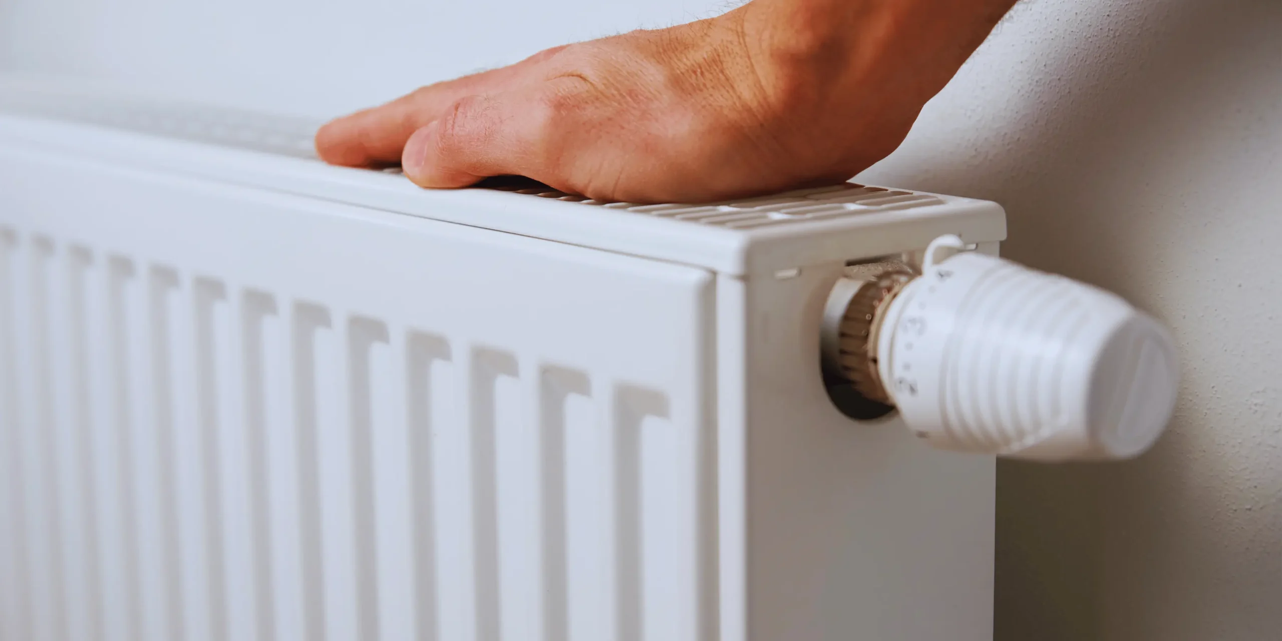 Každý rok na podzim se v českých domácnostech opakuje stejný scénář.