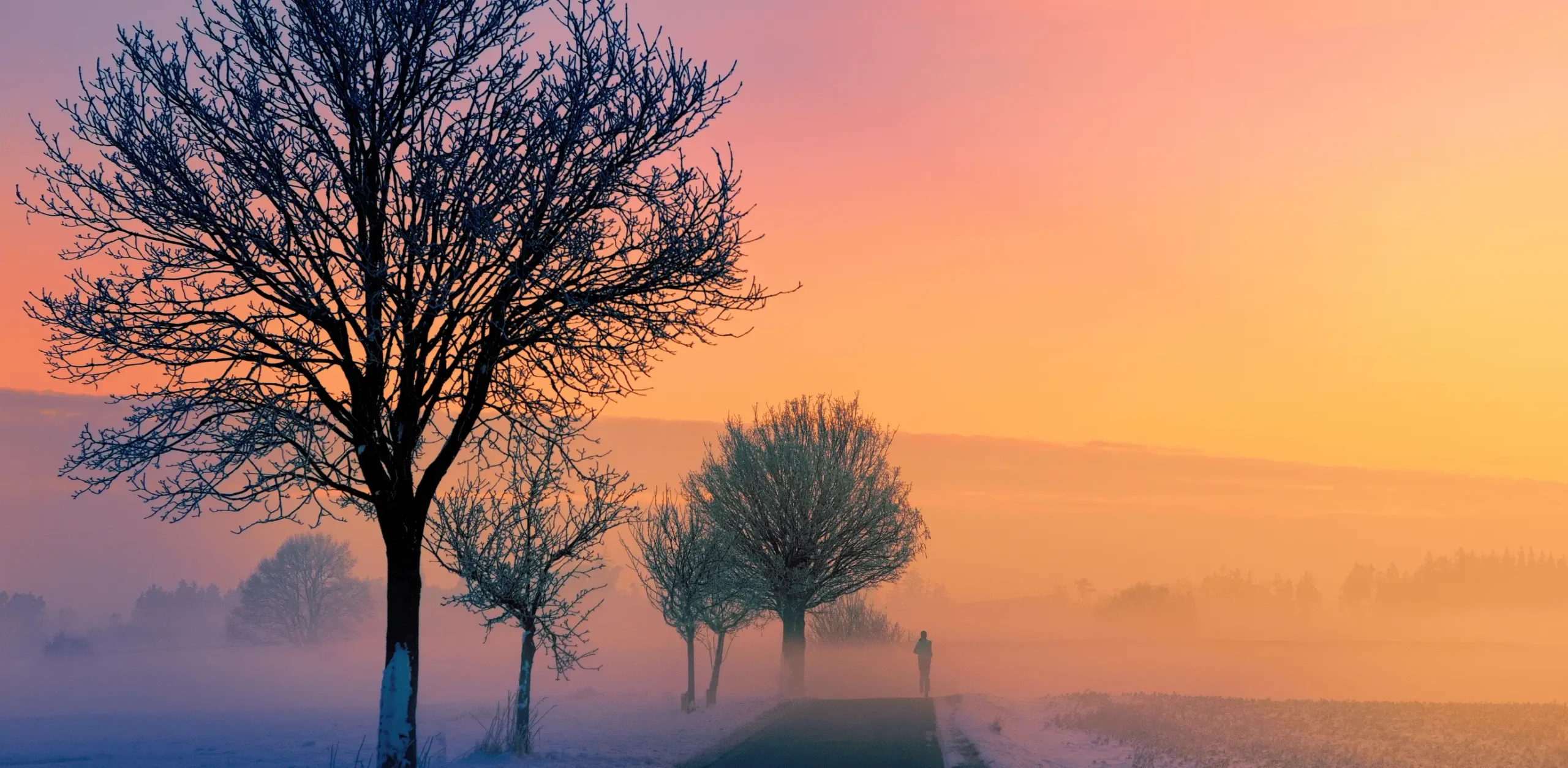 Zasněžené a zamlžené ráno.