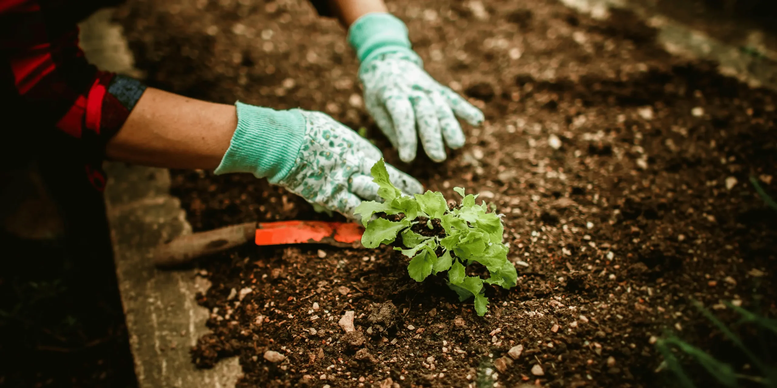 Příprava zeminy pro pěstování rostlin.
